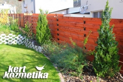 kertépítés után ősszel (45)